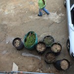 20130501_Garten_04